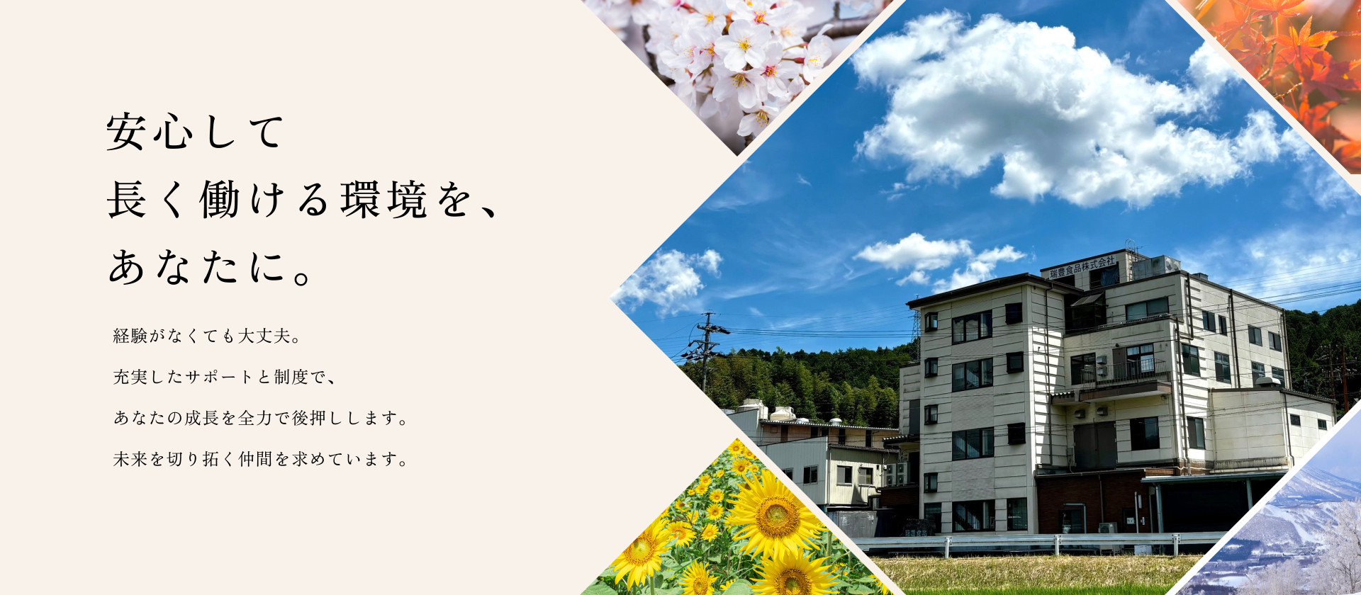 安心して長く働ける環境を、あなたに。